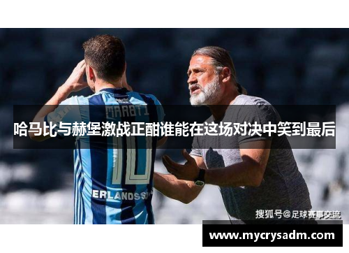 哈马比与赫堡激战正酣谁能在这场对决中笑到最后