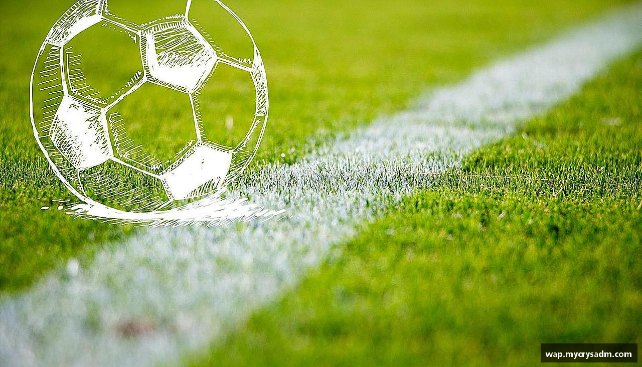 团结拼搏，驰骋竞技！